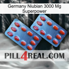 Germany Niubian 3000 Mg Superpower 05